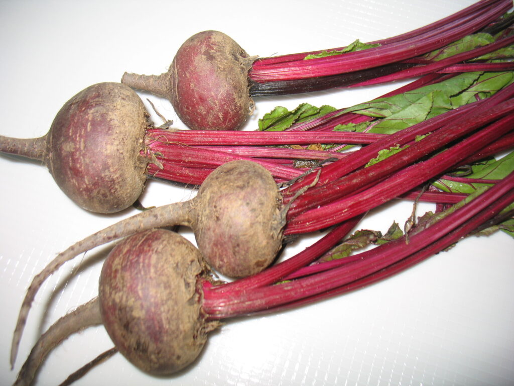 Beet Root